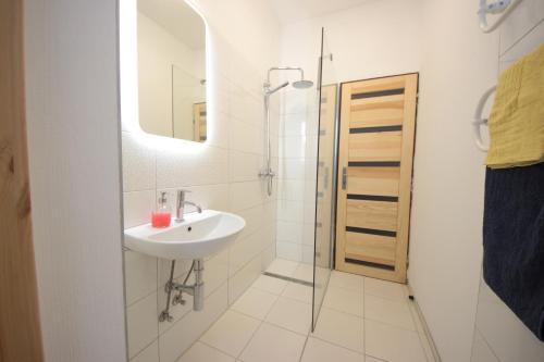 Gallery Apartment, Praha (fotografie 5)