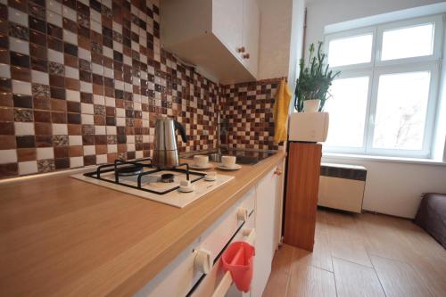 Gallery Apartment, Praha (fotografie 10)