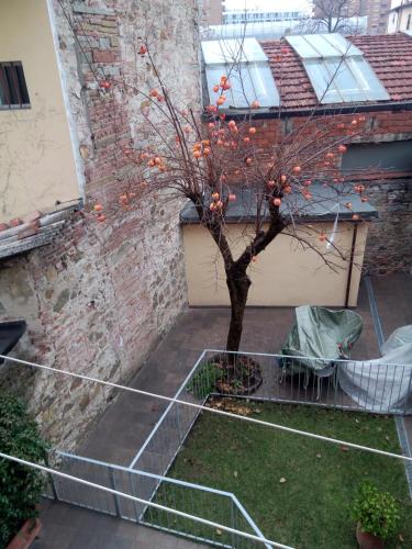 Appartamento Rifredi - image 7