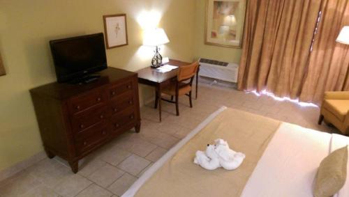 Vista Inn Lake Tarpon - image 2