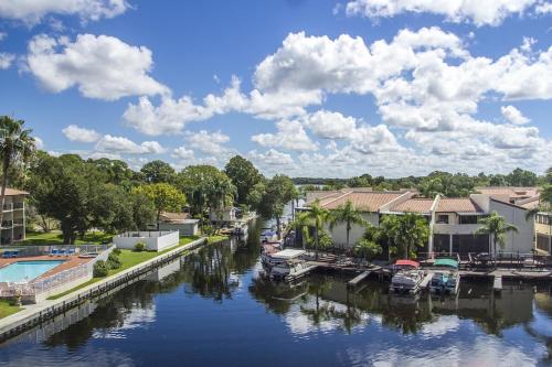 Vista Inn Lake Tarpon - image 5