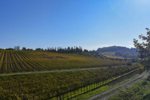 Agriturismo Le Gallozzole