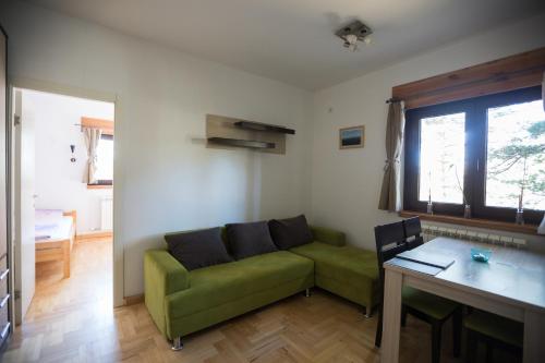 Vila Plamenac - image 14