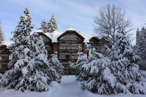 Hapimag Ferienwohnungen Braunlage - image 5