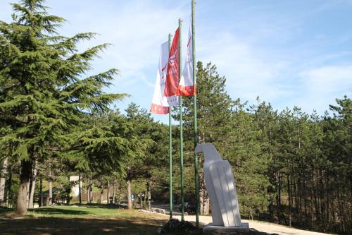 Hotel Trebjesa - image 12