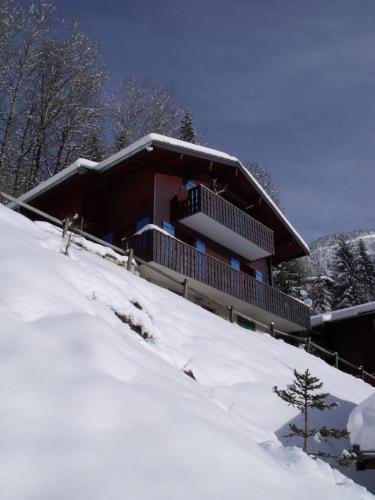 Le Ciel Bleu - Location, gîte - Châtel