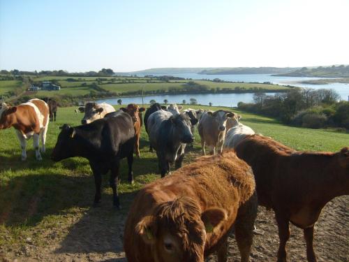 Seafield Farmhouse