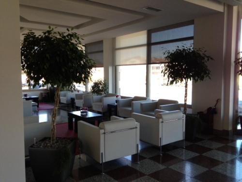 Hotel Adelma - image 7