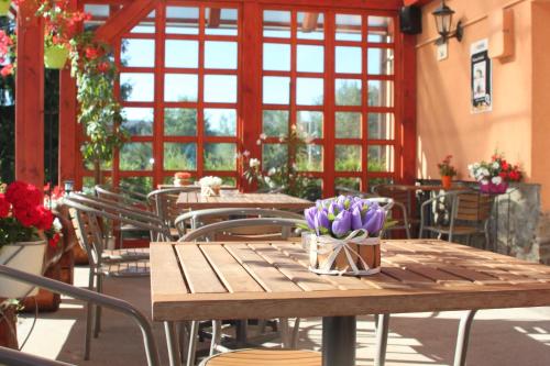 Pension Motel Anna in Lenora