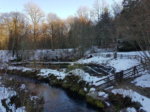 Gut Lauterbad Hotel