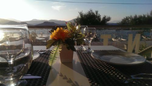 Golden Sunset - image 2