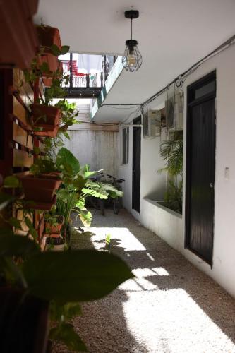 Facilities, Emotion Avenida Tulum Hotel & Hostal in Tulum