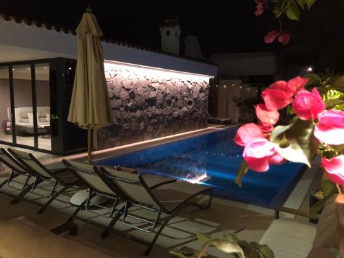 Villa Adler Gay Men Only - image 9