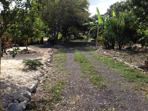 Cabanas chaac Calakmul in Xpujil