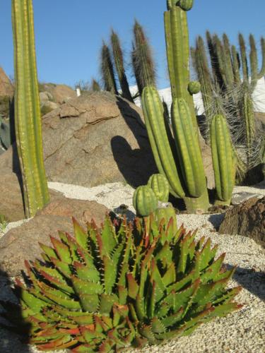 Giardino, Cabana Ecologica Trotamundos in Coquimbo