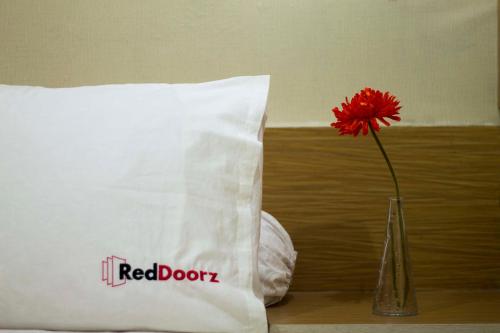 RedDoorz @ Cokroaminoto Denpasar