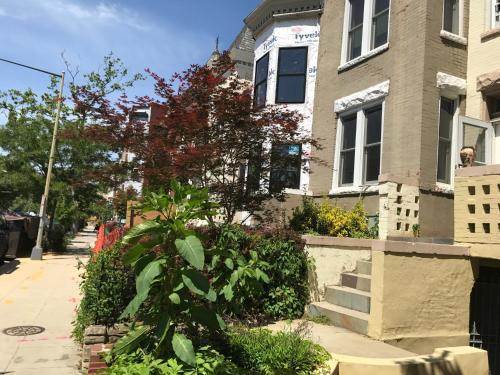 

11th Street DC House