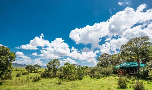 Losokwan Luxury Tented Camp - Maasai Mara in Narok