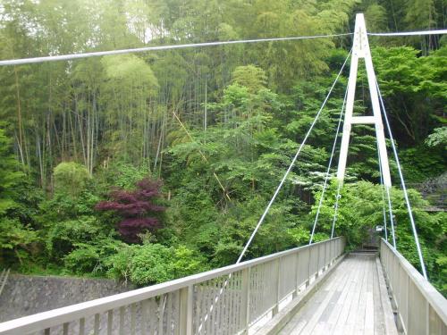 Shiunso, Hakone (fotografie 9)