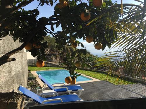 B&B Calheta - Villa Atlantis - Bed and Breakfast Calheta