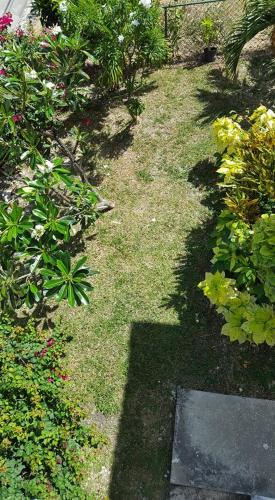 Cynson Villa Holiday Accommodations photo