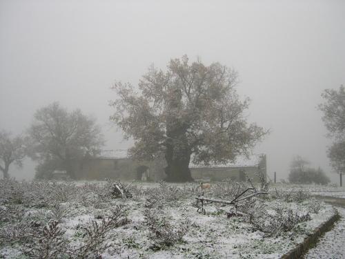  Il Castelluccio in Viggiano