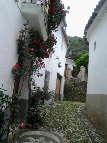 Apkārtne, Casa Rural Aya I in Linares De La Sjerra
