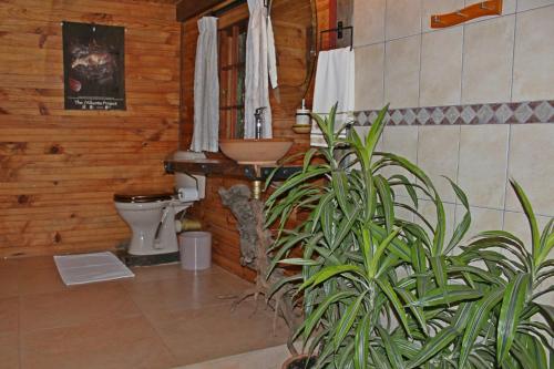 Treks, Trips and Trails, Champagne Valley (foto 5)