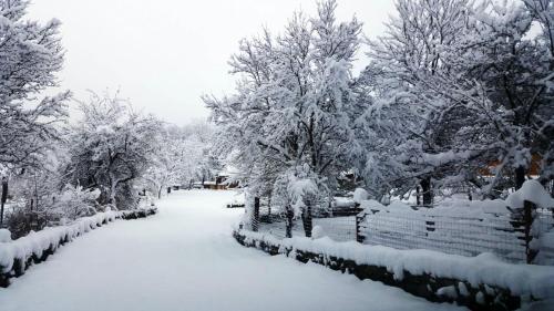 Casa Bunicului - image 3