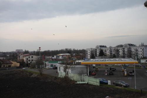 Vistas, Apartament Rodzinny S8 in Kalisz