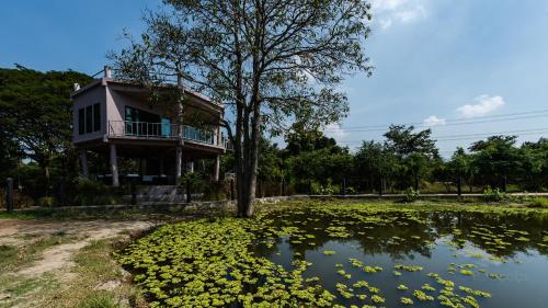 Garden, I love phants Lodge in Khao Yai (Cha-am)