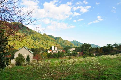 olive-tree village