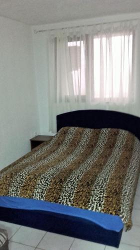 Apartments Petrovic - image 11
