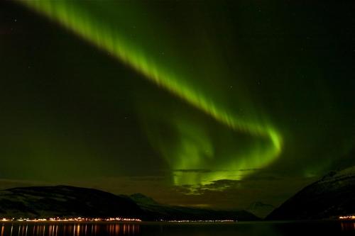 Fjellkysten - image 2