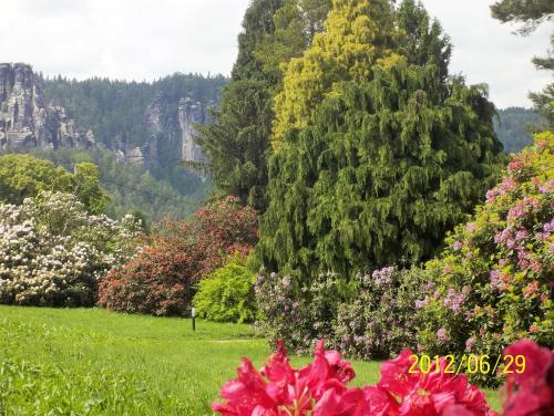 Ferienwohnung Zum Lilienstein