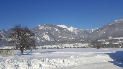 Pension Schlömmer - image 2