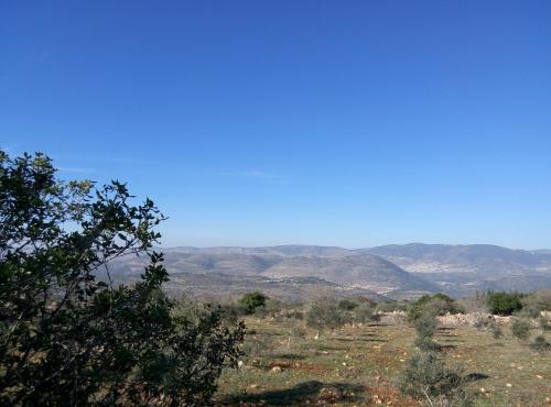 Cabin In The View