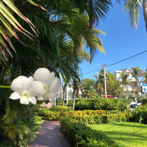 Southernmost Point Guest House