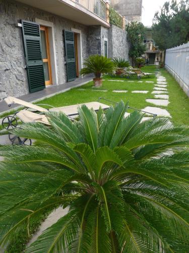 La Gerbera, Levanto (fotografie 8)