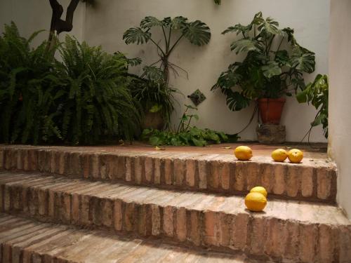 Entre2mezquitas 6, Córdoba (fotografie 11)