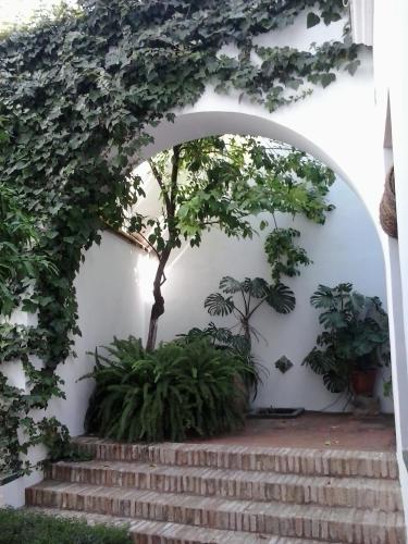 Entre2mezquitas 6, Córdoba (fotografie 10)
