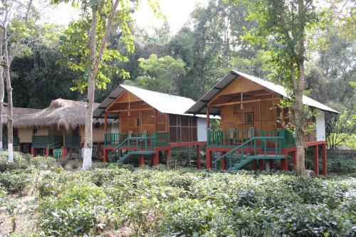 Nature Hunt Eco Camp