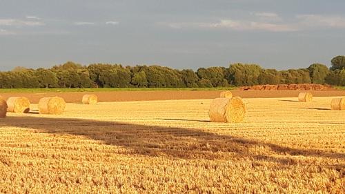 Bed and Breakfast Gasteren - image 5