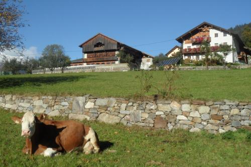 Moarhof