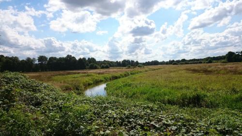 Bed and Breakfast Gasteren - main image