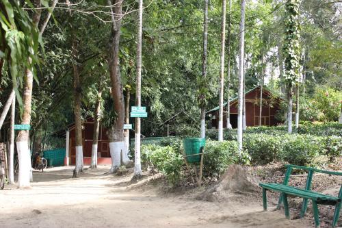 Nature Hunt Eco Camp