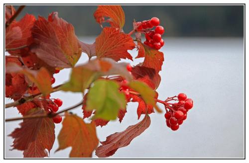 金特霍夫酒店 金特霍夫酒店