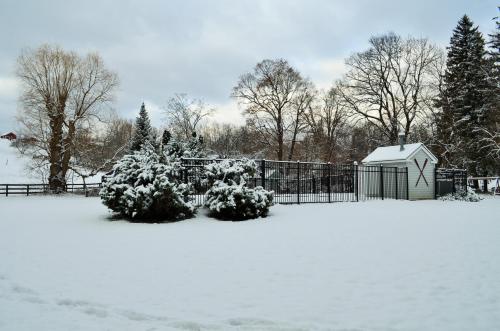 Maple Terrace Motel