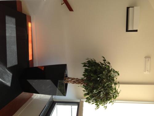 Hotel Adelma – Hoznayo, MS