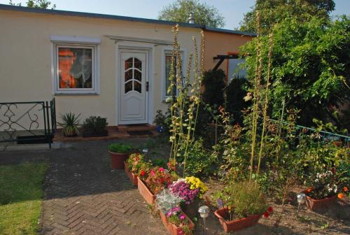 Ferienhaus Sehlen auf Rügen